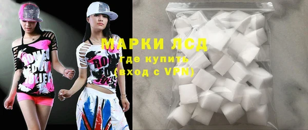 индика Беломорск