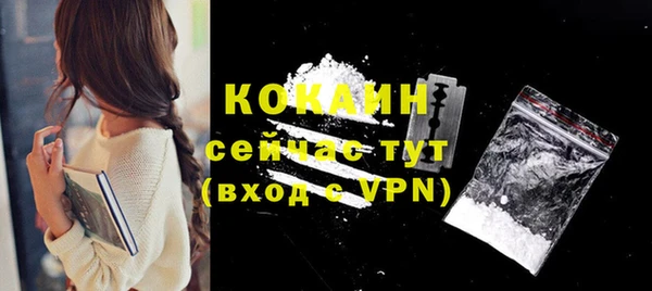 индика Беломорск