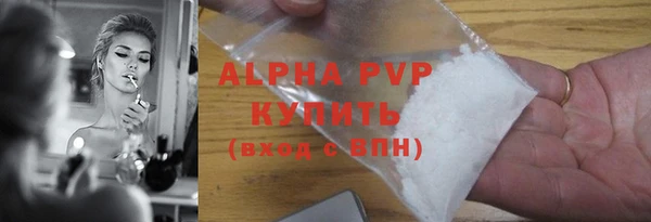 индика Беломорск