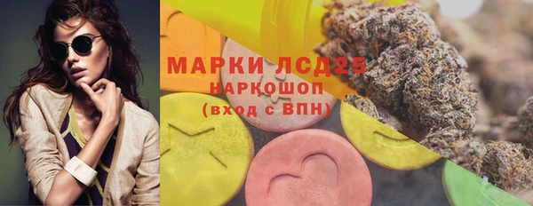 дживик Белокуриха