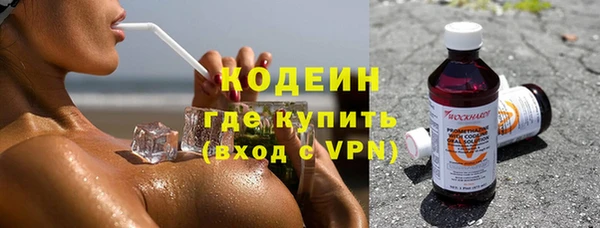 индика Беломорск