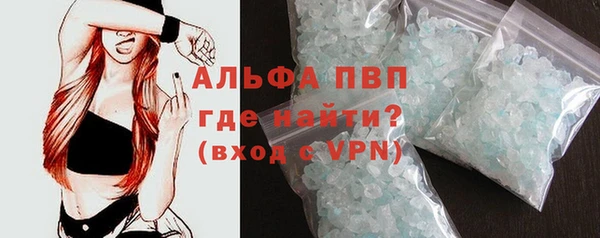 индика Беломорск