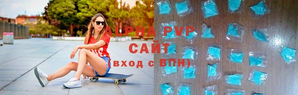индика Беломорск