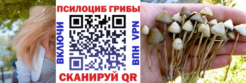 Галлюциногенные грибы MAGIC MUSHROOMS  Щигры 
